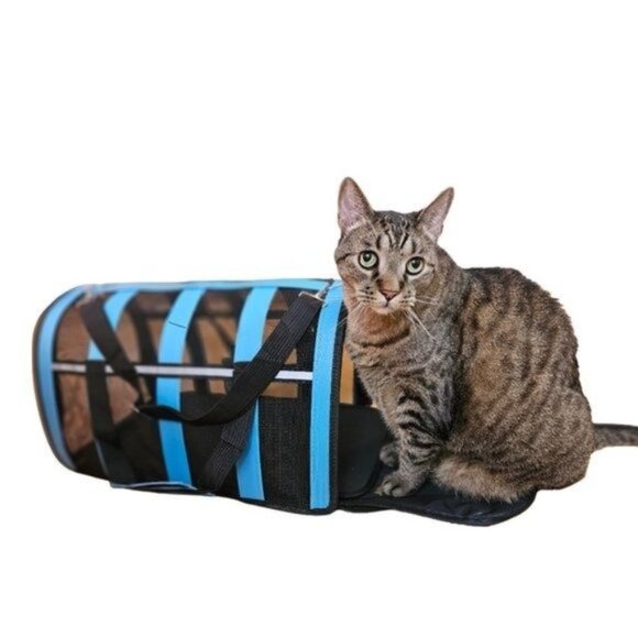 Pet Carrier, Lime Stripe - Picture 4 of 5